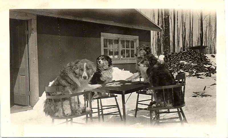 Archives nationales à Rouyn-Noranda, collection Société d’histoire de Rouyn-Noranda